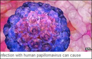 显微镜下的人类乳头瘤病毒(HPV)