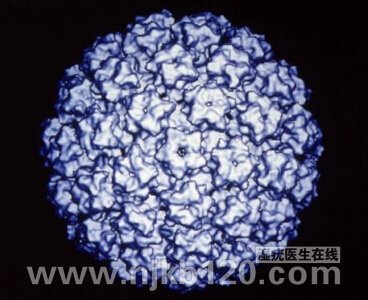 HPV病毒感染