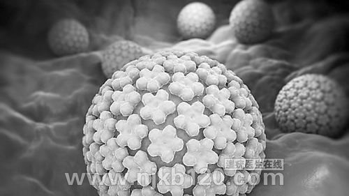 HPV疫苗或可提供长久保护